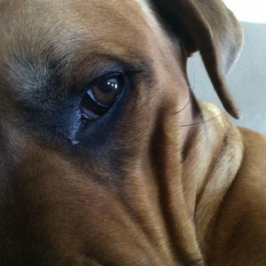 Meet your Posher, Mason